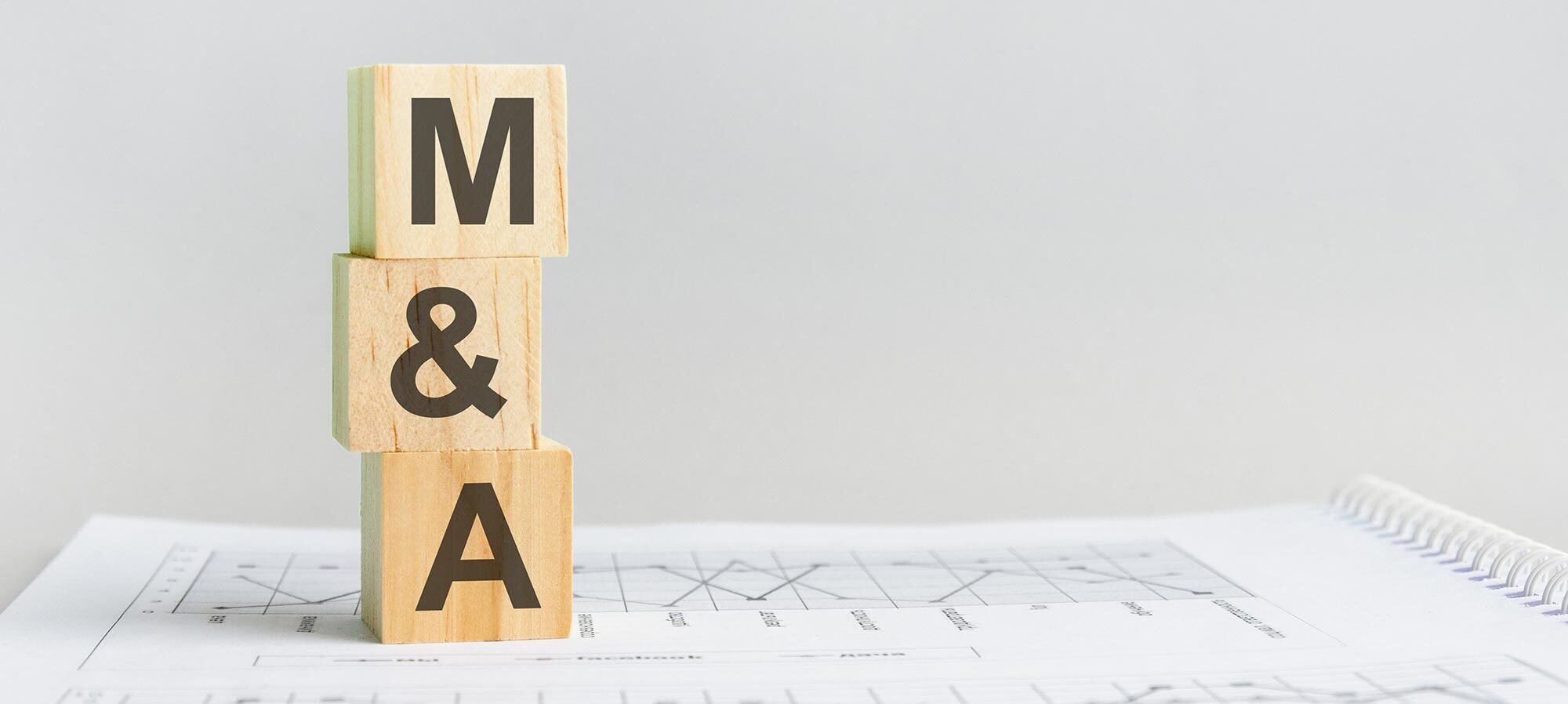 Strategic-M-A-in-Multi-Site-Healthcare--Making-Procurement-Value-Capture-Real